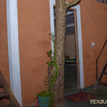 Pidurangala Hostel Sigiriya Bagian luar foto