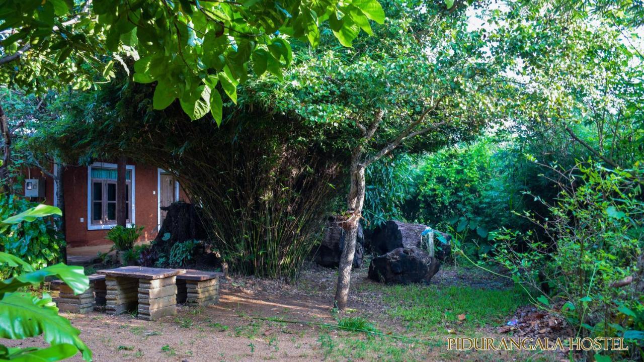 Pidurangala Hostel Sigiriya Bagian luar foto